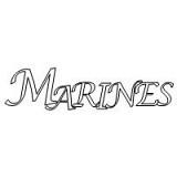 stars and stripes marines